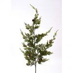 36" Incense Cedar Branch