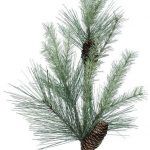 Frosted Mixed Pine Spray