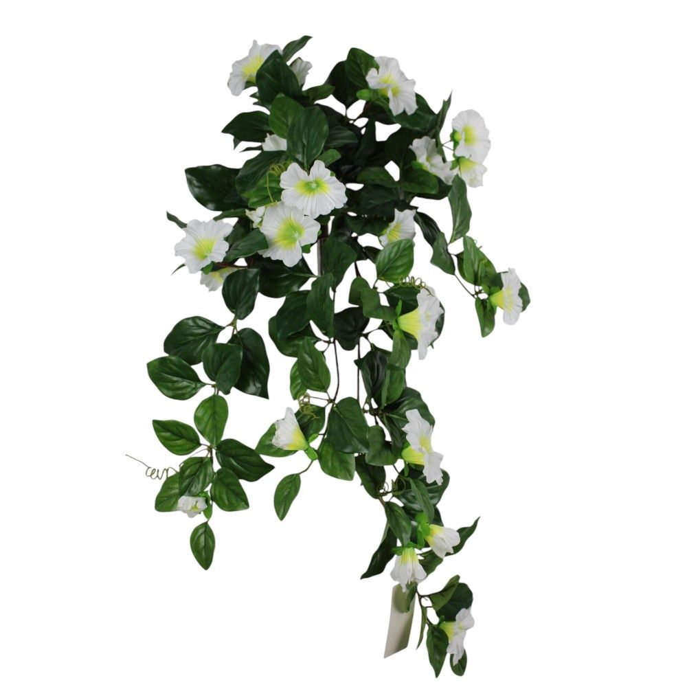 Hanging Petunia - White