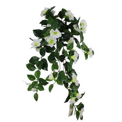 Hanging Petunia - White