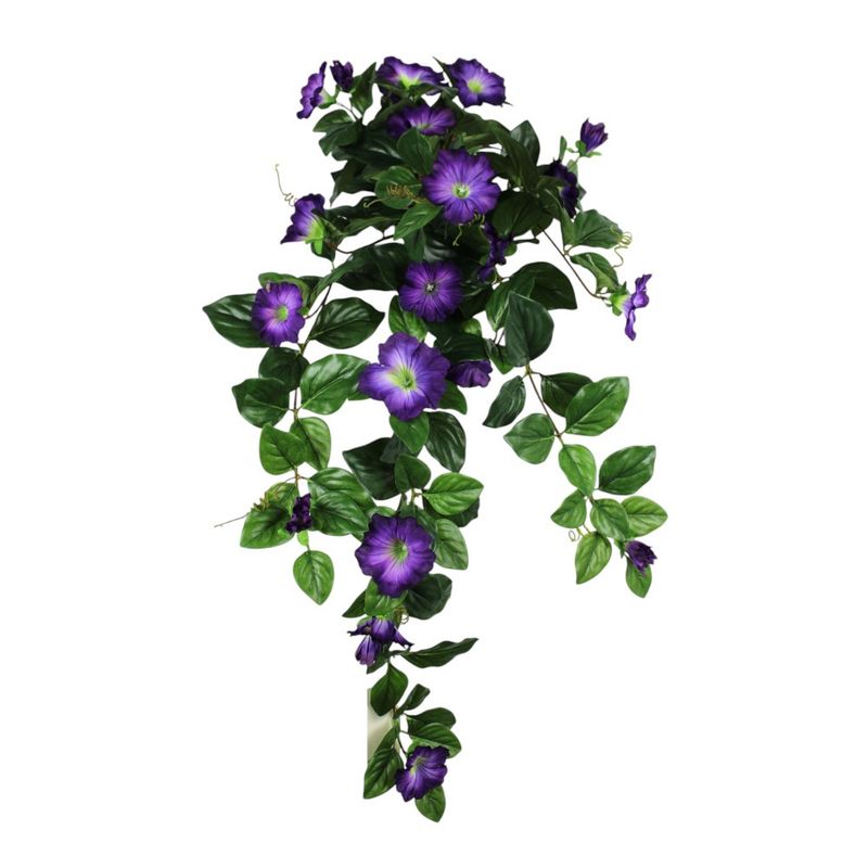 Hanging Petunia - Purple