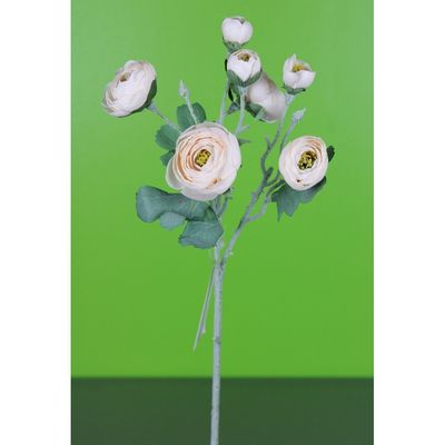 Ranunculus Spray - Peach 19"