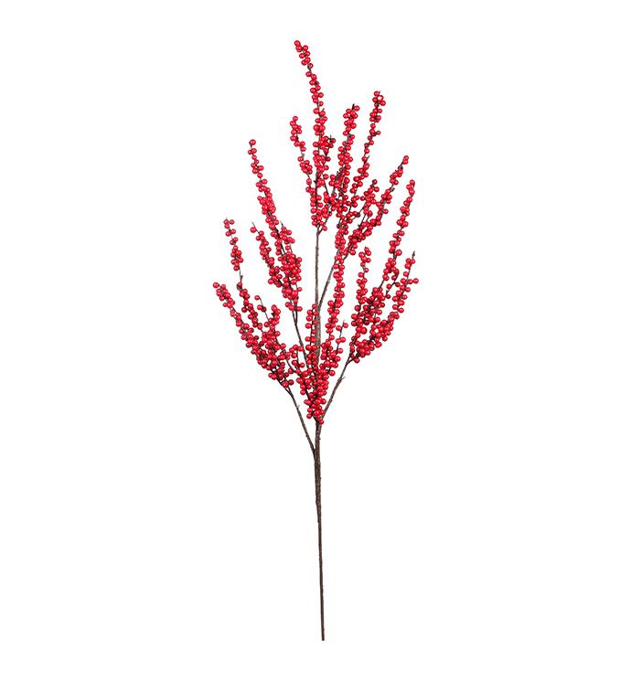 Red WP Berry Spray