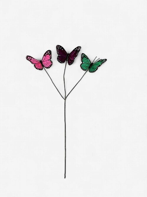 Butterfly Spray Multi Color