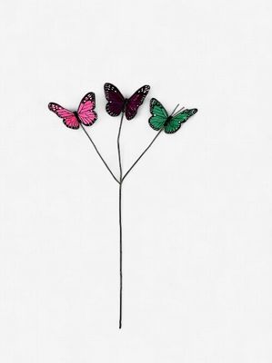 Butterfly Spray Multi Color