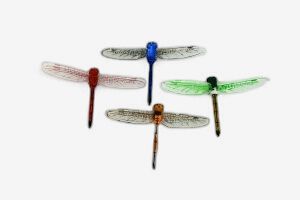 Multi Colored Dragonfly