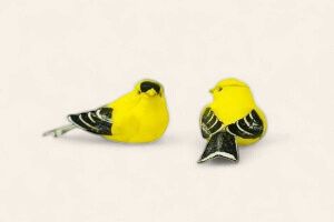 Golden Finch 3"