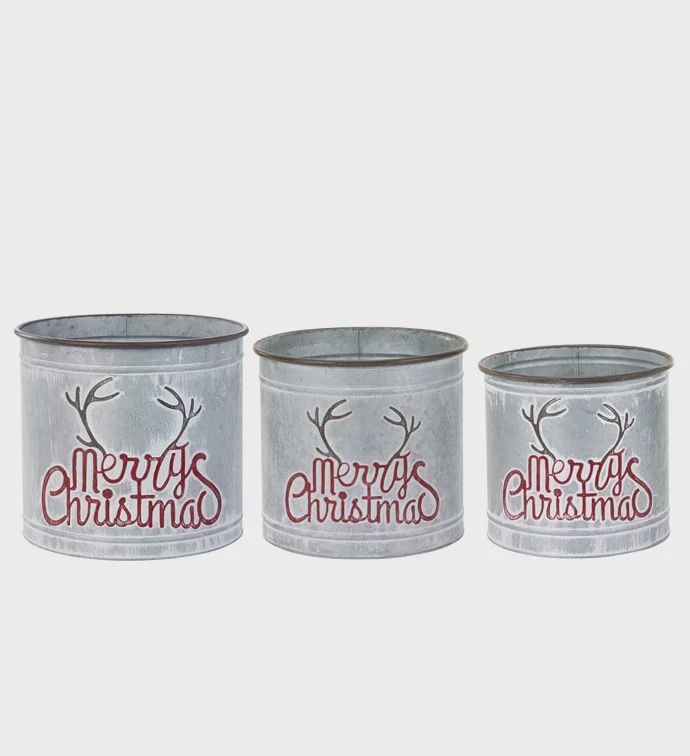 Merry Christmas Antler Pot Cover S/3