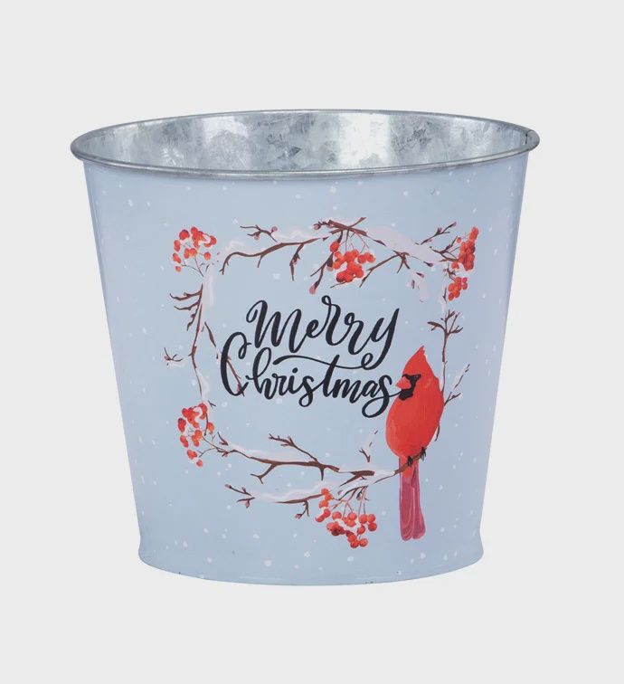 5" Merry Christmas Cardinal Pot Cover