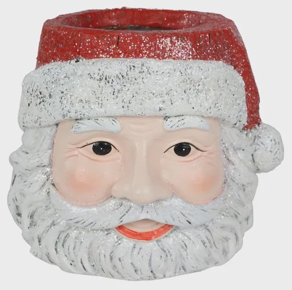 Santa Head Pot