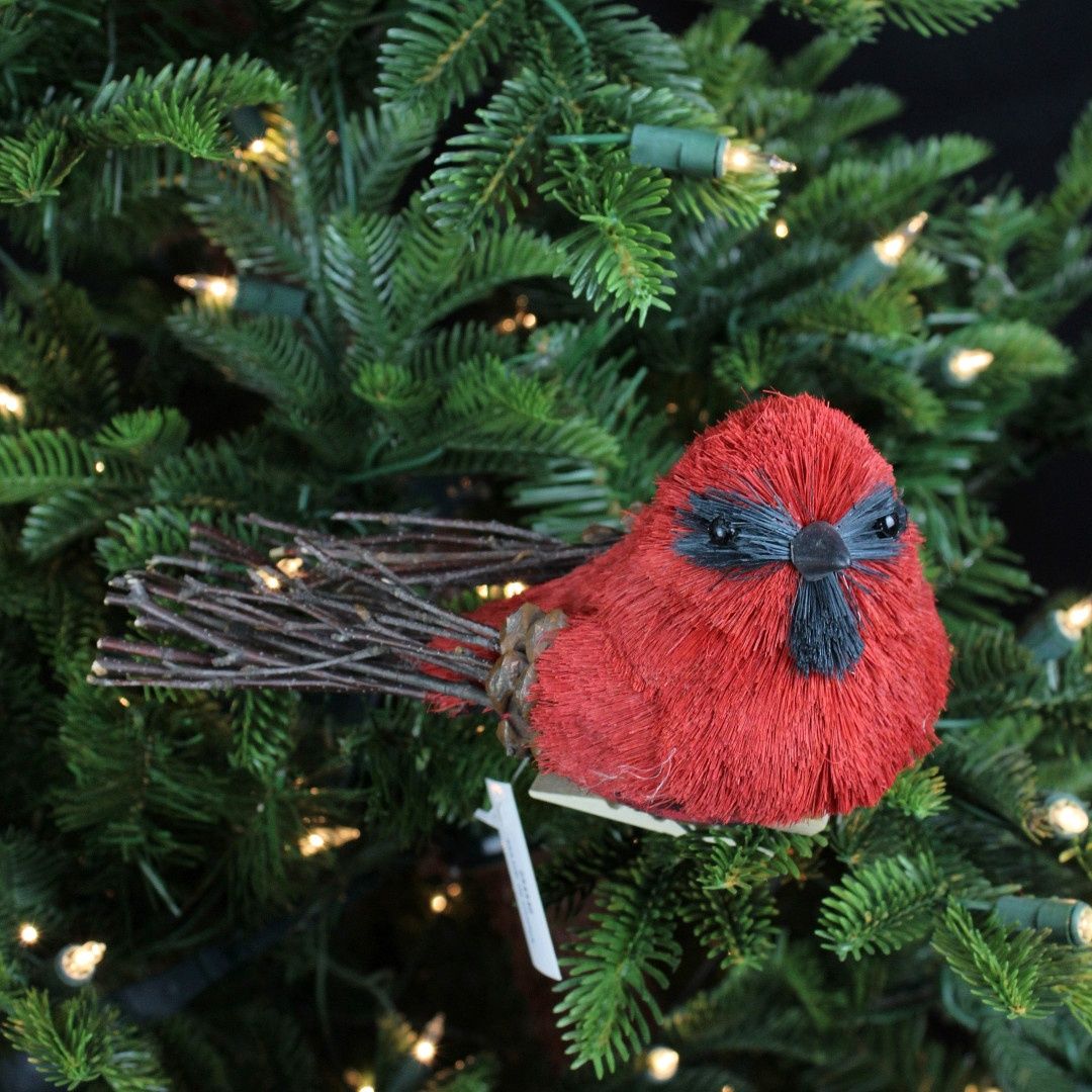 4.25" Cardinal w/ Wood Clip