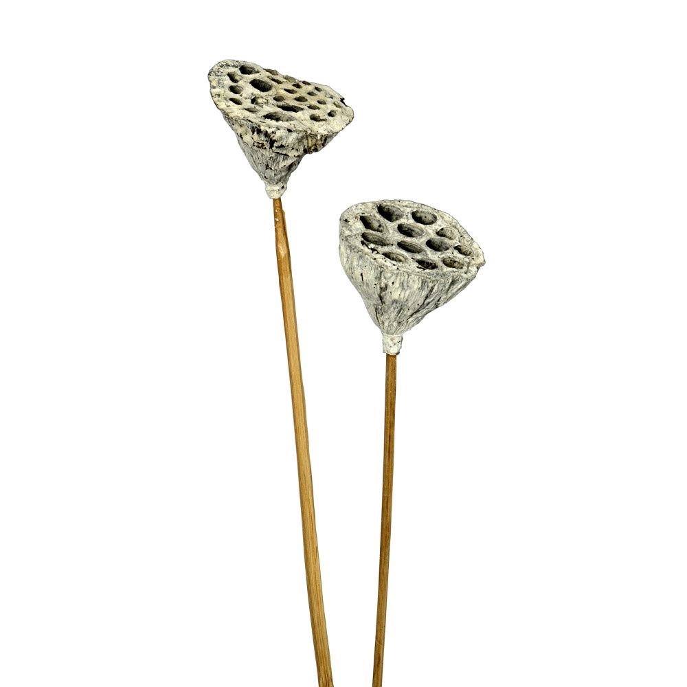 White Lotus Pick - 12/bag