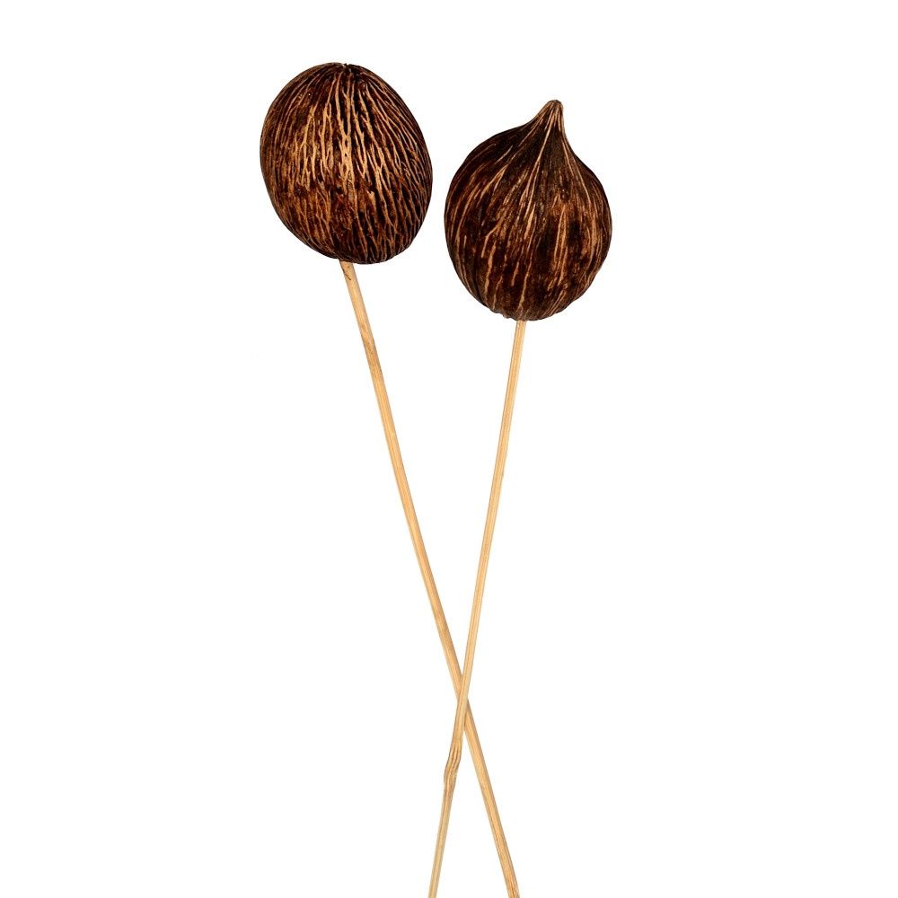 Mintolla Ball Pick - 12/pkg