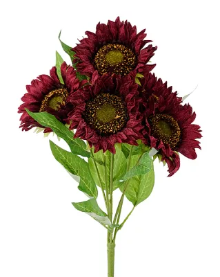 Velvet Sunflower Bush x 5 - Burgundy