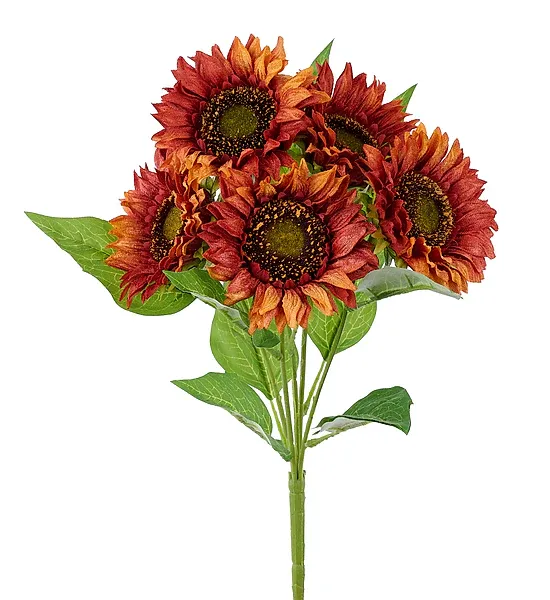 Velvet Sunflower Bush x 5 - Yellow/Red