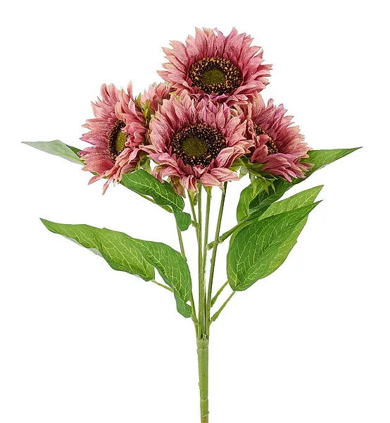 Velvet Sunflower Bush x5 - Dusty Rose