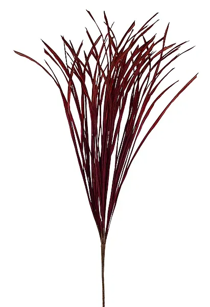 32"L Paper Two Tone Dry Grass - Burgundy/Red