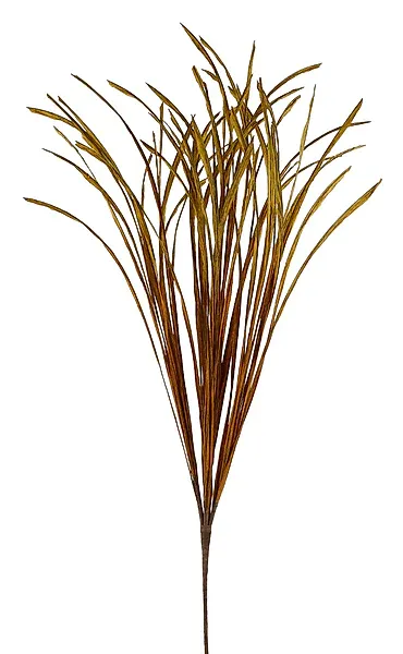 32"L Paper Two Tone Dry Grass - Burnt Org./Mustard