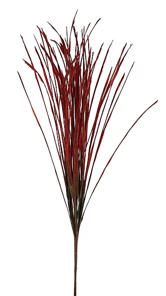 32"L Paper Two Tone Dry Grass- Rusty Red/Green