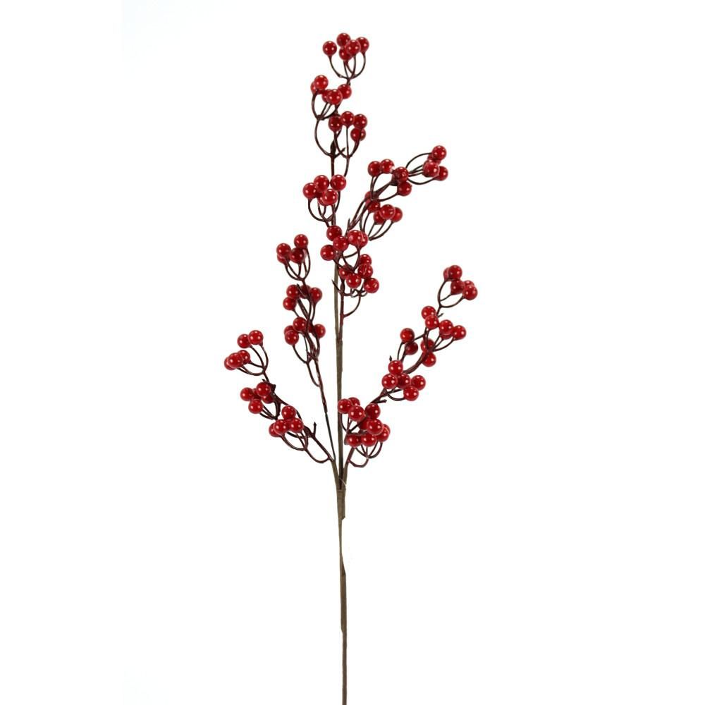 Red Berry Stem