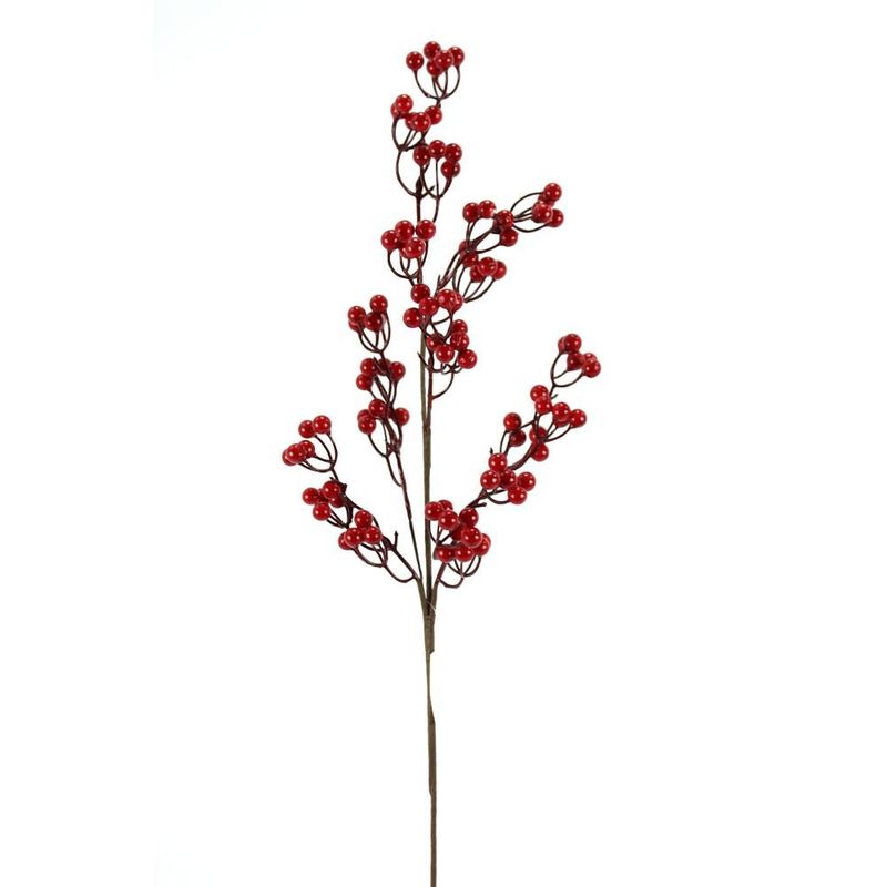 Red Berry Stem