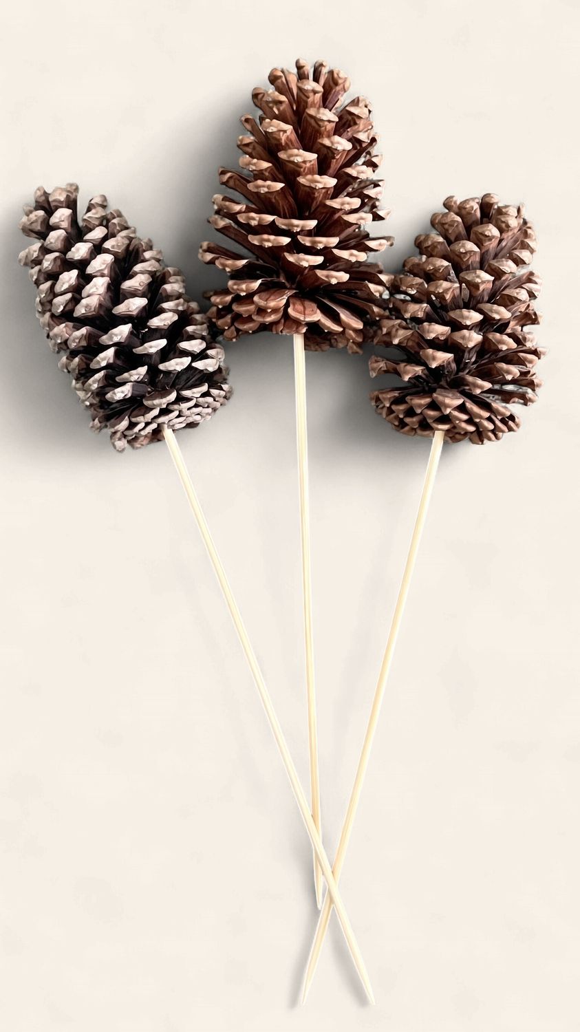 Natural Jeffery Pinecone on a Pick