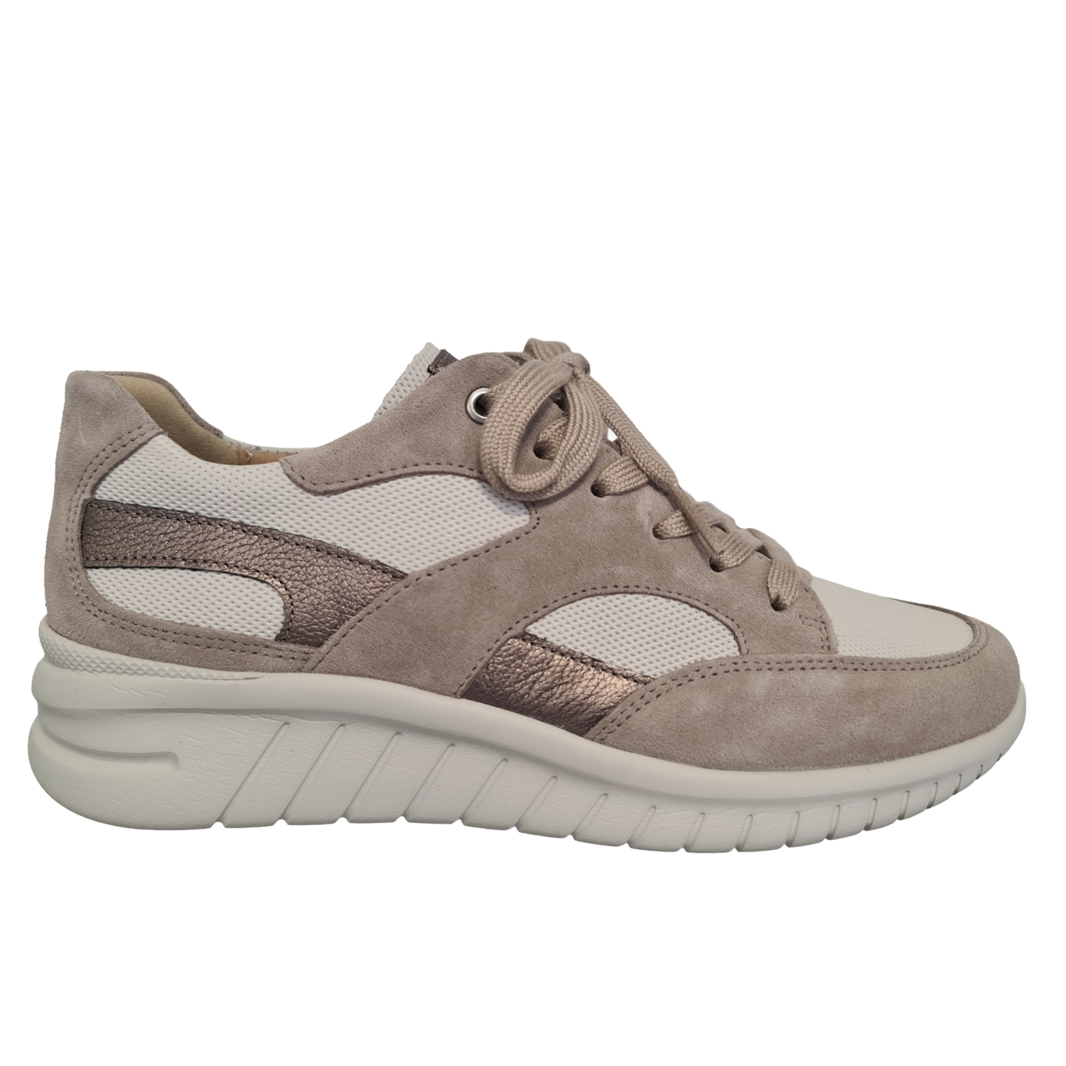 Hartjes 162.2402/31 26.32