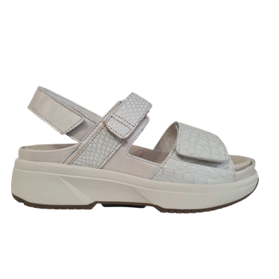 Xsensible 30700.5.176