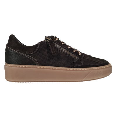DL Sport 7103