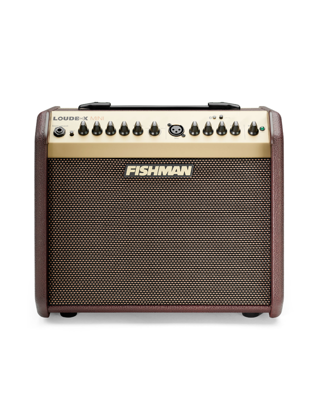 Fishman Loudbox Mini BT 60-watt 1x6.5" Acoustic Combo Amp