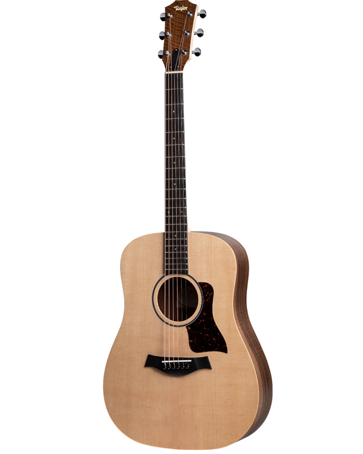 Taylor Big Baby Taylor BBTe