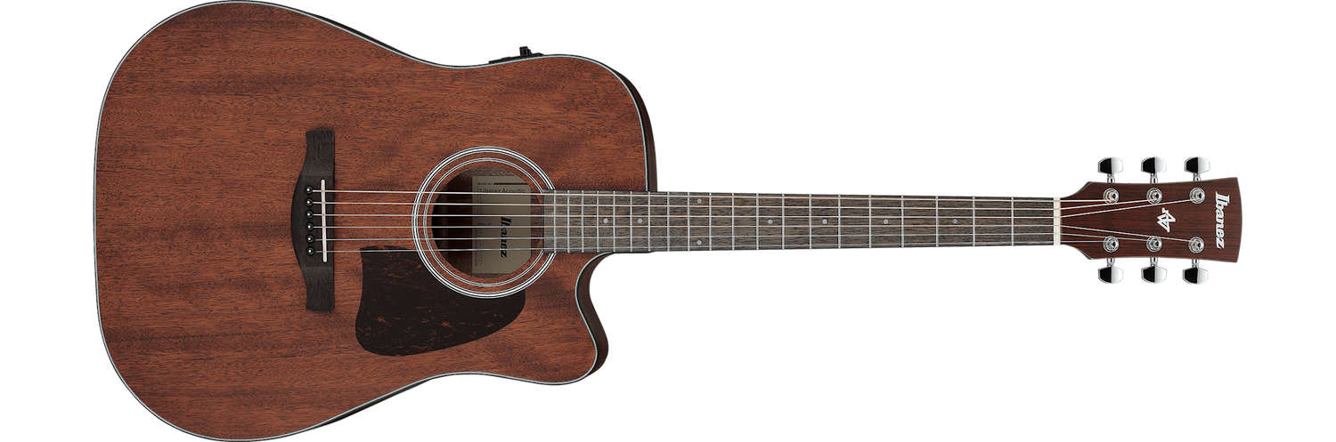 Ibanez AW54CE Acoustic Electric Guitar