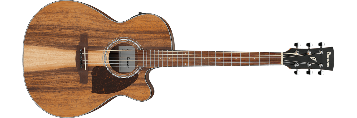 Ibanez PC50WSCE Acoustic Electric Guitar Open Pore Brown