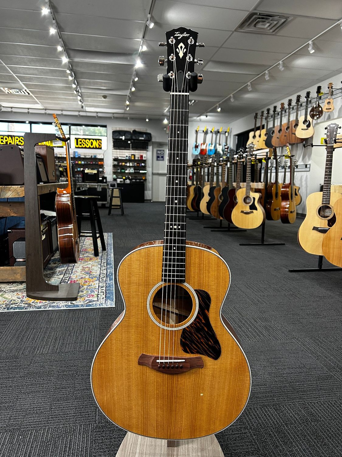 Taylor Gold Label 514e Acoustic Guitar Natural