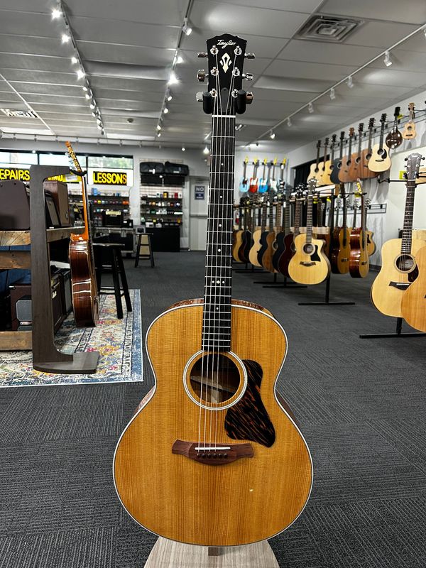 Taylor Gold Label 514e Acoustic Guitar Natural