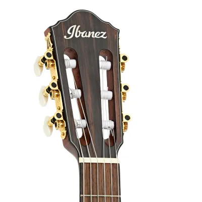 Ibanez
