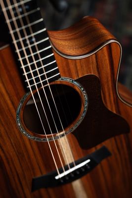 What Strings Actually Come on Taylor Guitars? (And Why You Shouldn't Guess)