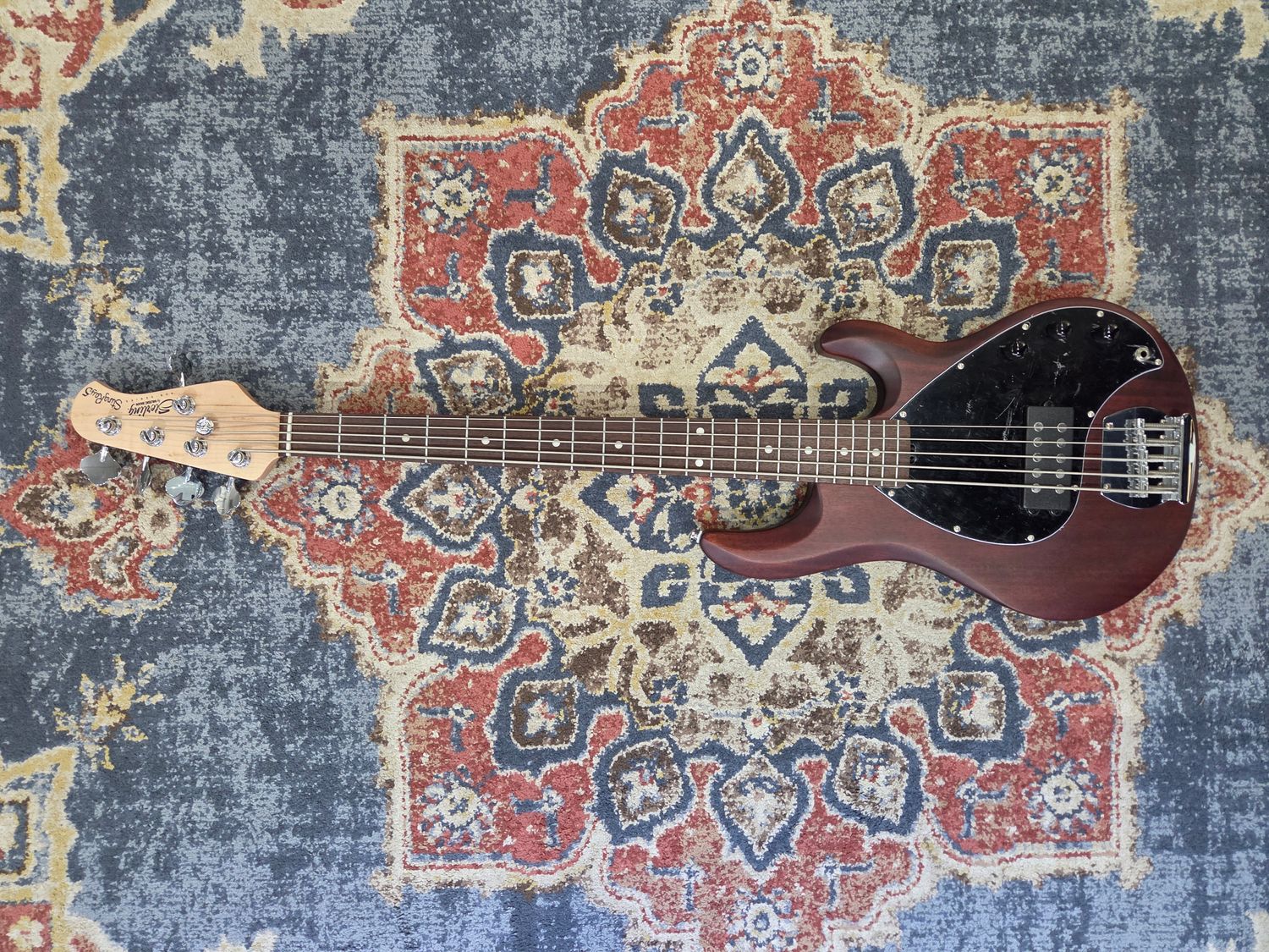 Used Sterling by Music Man StingRay Ray5 Walnut Satin