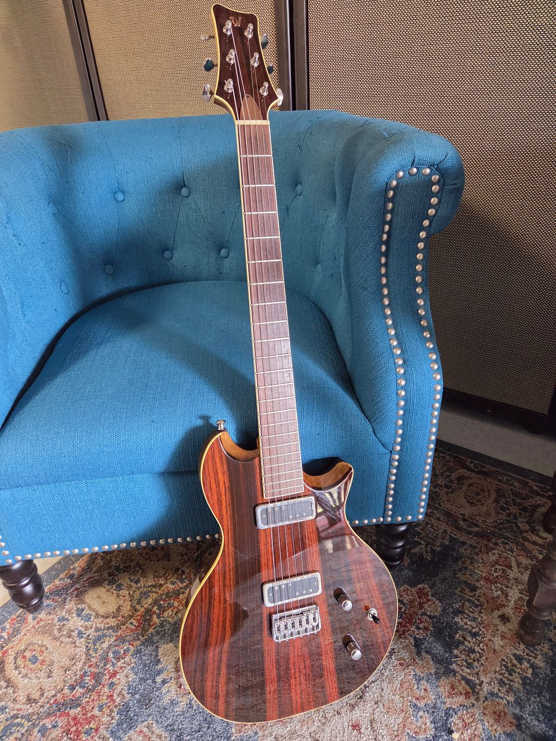 Used Walt Guitar Guitar w/case