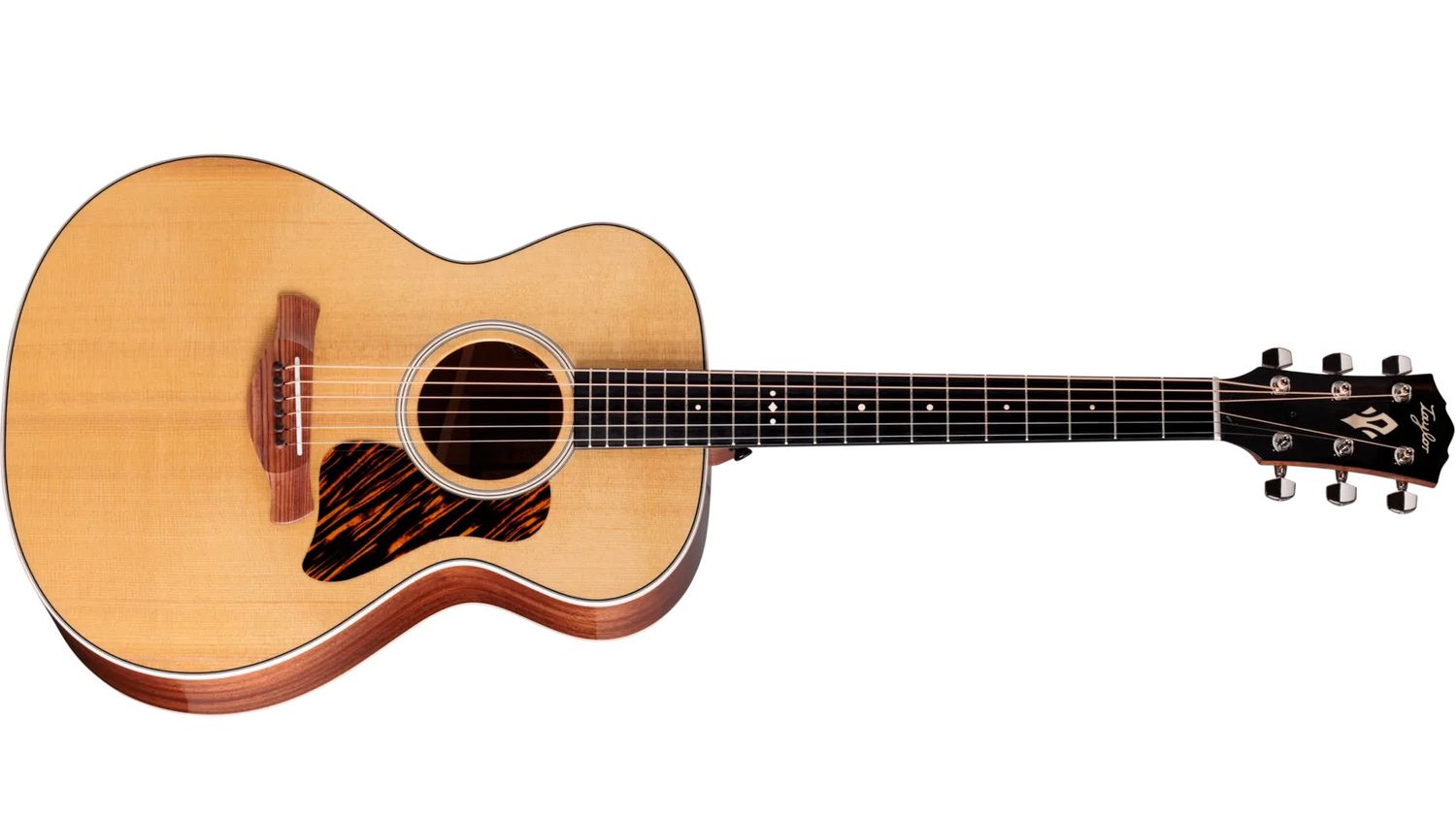 Taylor Gold Label 512e Acoustic Electric Guitar