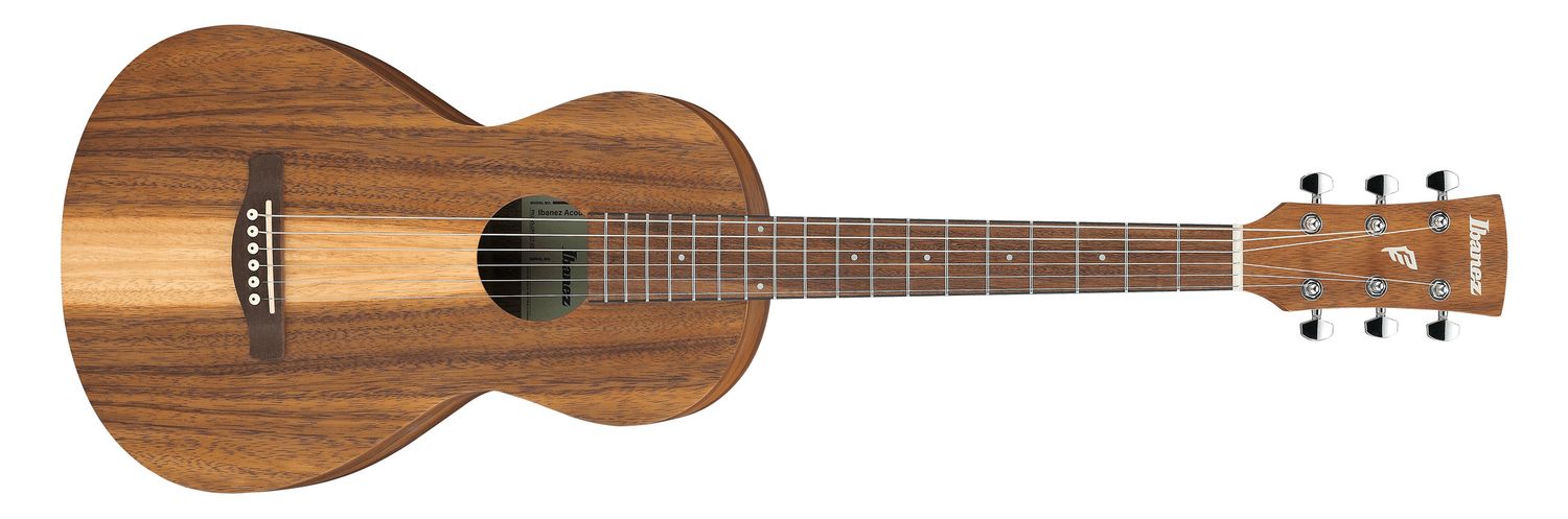 Ibanez PN2WS Performance Series Parlor Acoustic Guitar – Open Pore Brown
