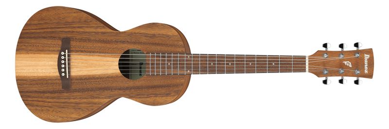 Ibanez PN2WS Performance Series Parlor Acoustic Guitar – Open Pore Brown