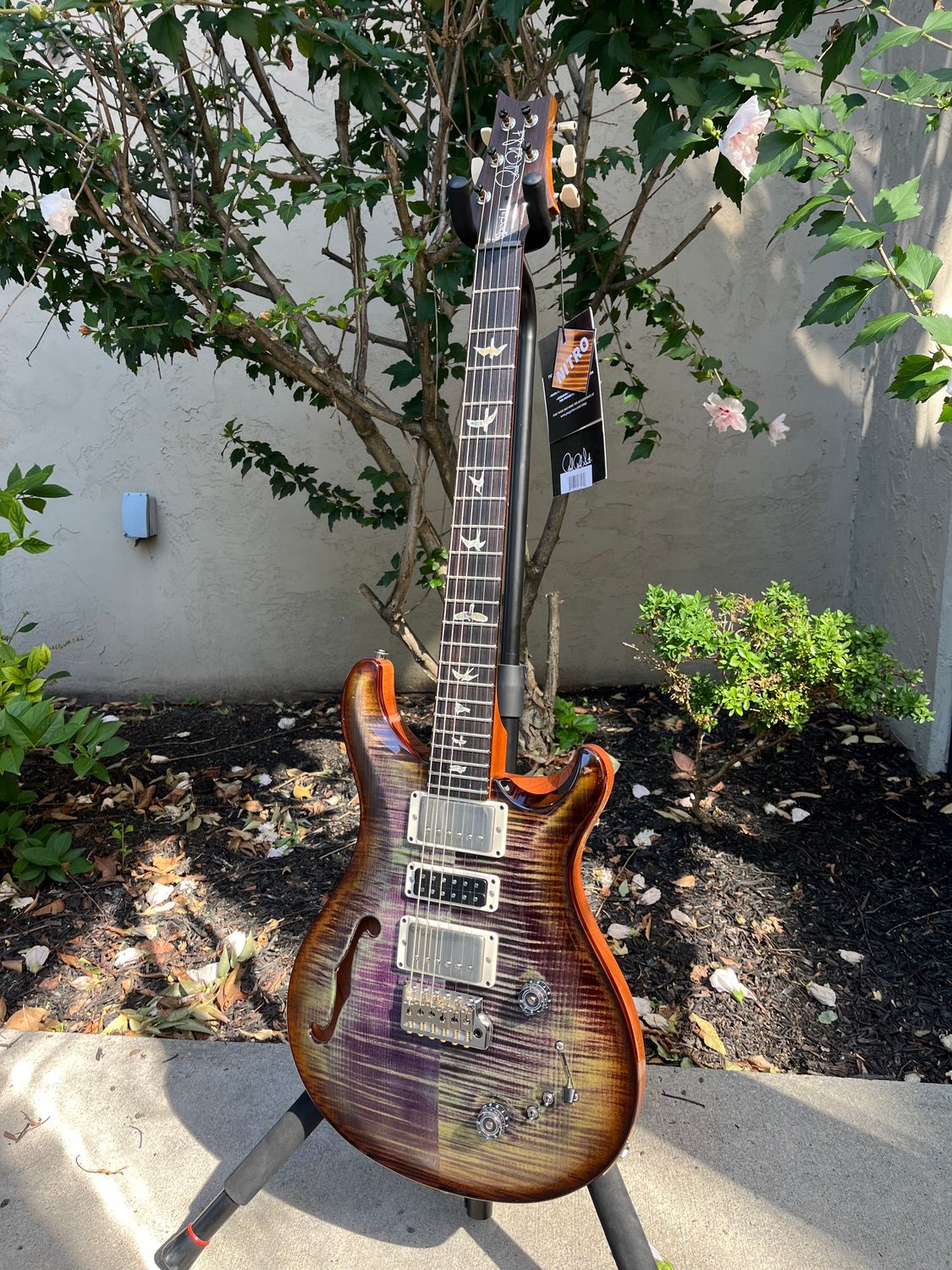 Paul Reed Smith Special Semi-Hollow Custom Color