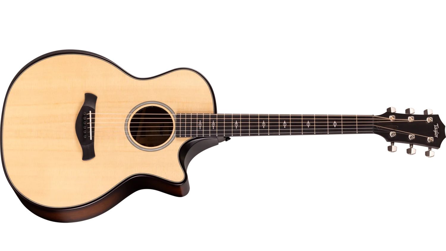 Taylor Builder's Edition 314ce LTD Walnut Acoustic Guitar