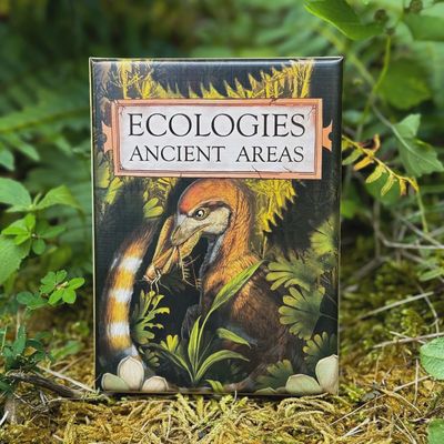 Ecologies - Ancient Areas