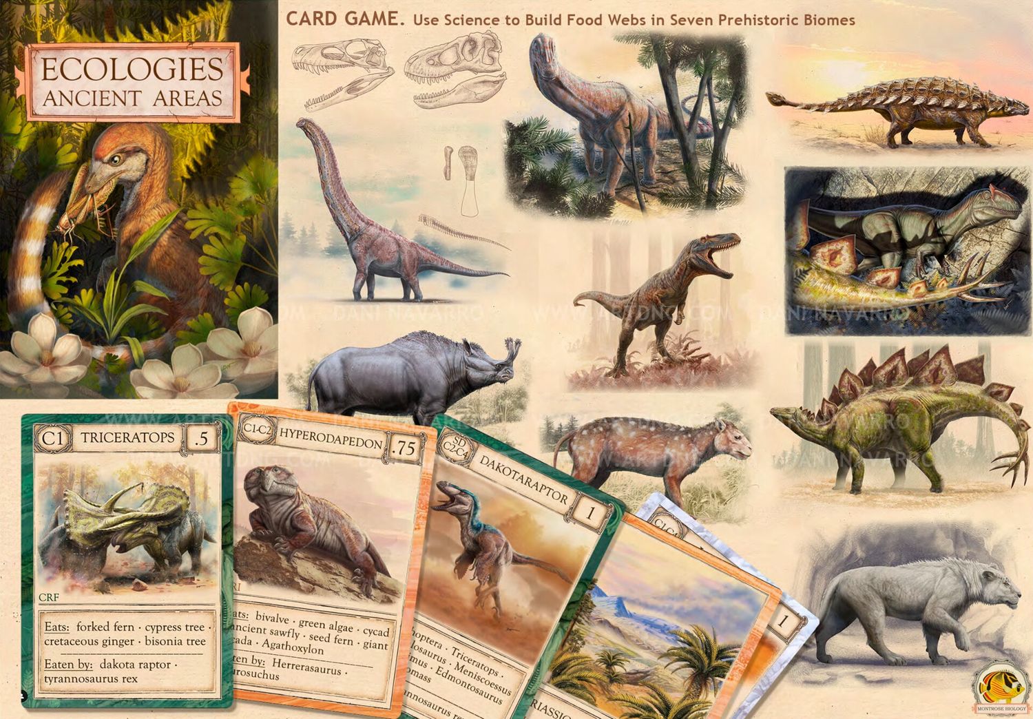 Ecologies - Ancient Areas