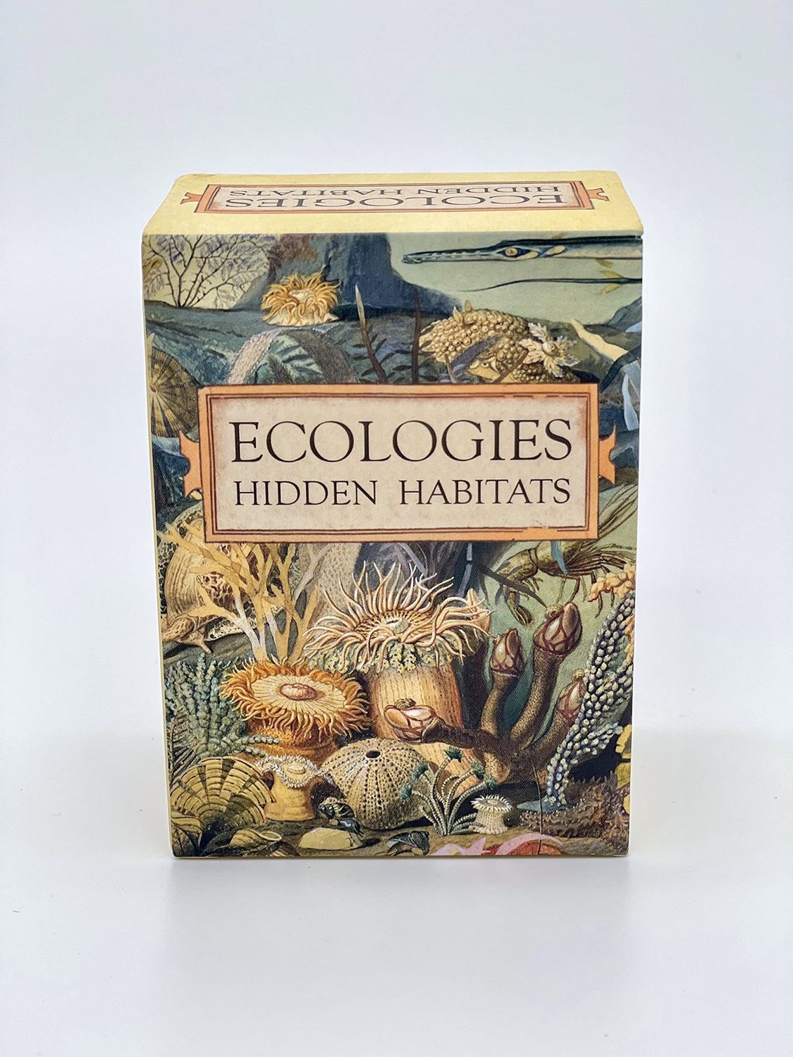 Ecologies - Hidden Habitats