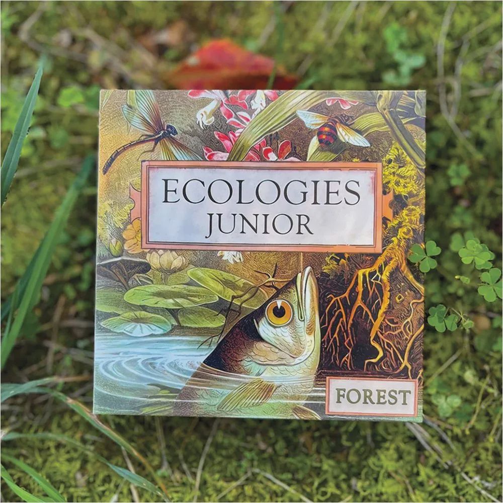 Ecologies Junior - Forest
