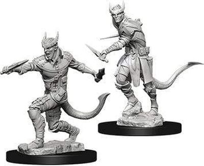 Dungeons &amp; Dragons: Nolzur's Marvelous Unpainted Miniatures - W05 Tiefling Male Rogue
