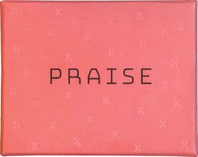 Japanese Designers: Praise